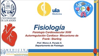 Fisiología Cardiovascular XVIII Autorregulación Cardíaca Mecanismo de FrankStarling [upl. by Biagi]