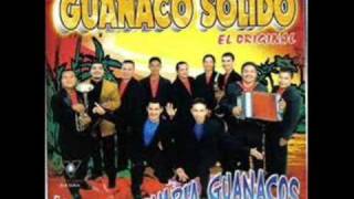 grupo guanaco solido sera mi suegra [upl. by Erodisi63]