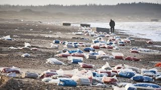 Cleanup begins after Maersk loses shipping containers in North Sea [upl. by Aljan]