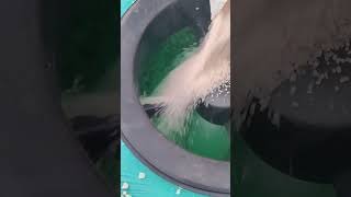 Pool filter sand filling work swimmingpool pool [upl. by Ayenet]