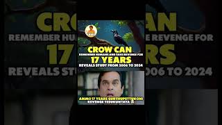 Crows can remember a person for 17 years to take revenge crows revange jathakalu [upl. by Danby419]