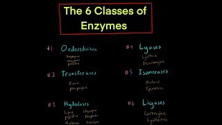 The 6 Classes of Enzymes w Mechanisms oxidoreductase transferase hydrolase lyase isomerase ligase [upl. by Igic]