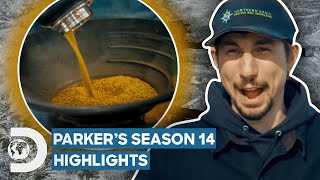 Parker Schnabels 15 Million Dominion Creek Highlights  Gold Rush [upl. by Laing834]