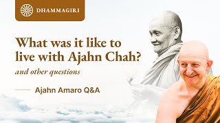 Ajahn Amaro QampA What was it like to live with Ajahn Chah Is it difficult to be a buddhist monk [upl. by Maze738]