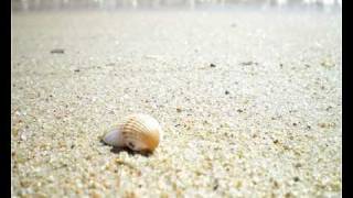 Spiagge della Sardegna  by Portale Sardegna [upl. by Orella]