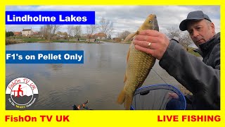 FishOn TV UK  PELLETS amp F1s ON WILLOWS  LINDHOLME LAKES  LIVE FISHING [upl. by Ymmas]