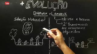 Darwin e Lamarck  EVOLUÇÃO  Resumo Completo [upl. by Ettenajna81]