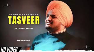 New Songs Tasveer Sidhu Moose wala [upl. by Rici]