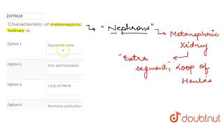 Characteristic of metanephric kidney is [upl. by Ssej]