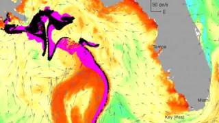 New Animated Oil Forecast Map Spill 250 Miles from Key West by May 24 [upl. by Tserof]