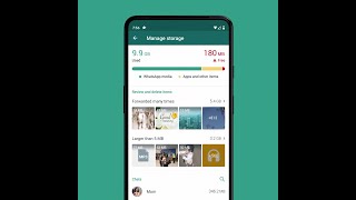 How to Manage Storage  WhatsApp [upl. by Clippard994]