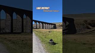 A good walk to the viaduct and cute lambies 😀 Ribblehead LakeDistrict autumnwalks England Walks [upl. by Garlan]