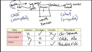 Video 11 Cross sectional Case control and Cohort studies Chi square Odds ratio Relative Risk [upl. by Yasdnyl]