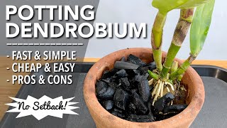 POTTING NEW DENDROBIUM ORCHID  How to Plant Orchid in a Pot  Paano Magtanim ng Orchid sa Paso [upl. by Ramahs]