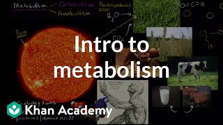 Introduction to metabolism anabolism and catabolism  Khan Academy [upl. by Atiuqan861]