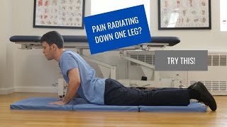 BEST Exercise for Sciatica  Herniated Disc RELIEF [upl. by Ydnim]