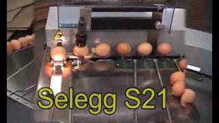 Egg coding EggFlex HeDiPack on a Riva Selegg S21 grader [upl. by Sawyer]