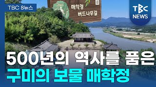 500년의 역사를 품은 매학정 ㅣ TBC영상뉴스 [upl. by Itraa]