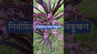 নির্বাচিতার সাথে কিছুক্ষণ। [upl. by Seale]