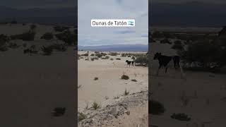 🇦🇷 visitando CATAMARCA las Dunas de Tatón en Fiambalá Argentina  viajar solo por el mundo [upl. by Aiekan]