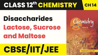 Class 12 Chemistry Chapter 14  Disaccharides Lactose Sucrose and Maltose  Biomolecules 202223 [upl. by Doraj]