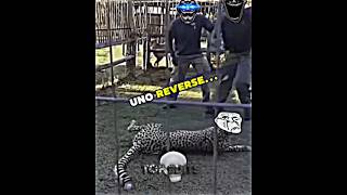 Uno reverse🗿 edit edits troll trollface trollfaceedit shortsviral [upl. by Manville]