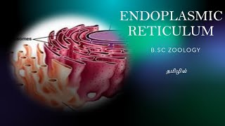 Endoplasmic reticulum in tamilCell Biology BscZoology Endoplasmic reticulum in tamilpartsfunction [upl. by Dedrick]