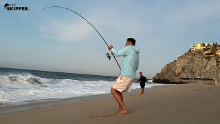 INSANE Surf Fishing Vacation 7 Days in Cabo San Lucas  Catching  Cooking Fresh Fish [upl. by Layla259]