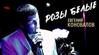 РОЗЫ БЕЛЫЕ  ХИТ 100 Евгений КОНОВАЛОВ [upl. by Aitnom]