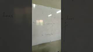 Identify parallel intersecting and perpendicular linesExercise 92 class 6parallel perpendicular [upl. by Setsero]