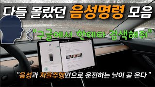 활용도 높은 음성명령 모음  풀화면 브라우징 팁 한테타 테슬라 모델3 모델S Model3 Model S Model X [upl. by Ecinnahs464]