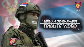 Tribute  Serbian Gendarmerie  Special Forces  Zandarmerija Srbije  2021 [upl. by Ahsinelg]