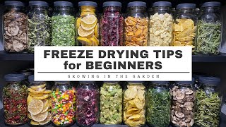 FREEZE DRYING tips for BEGINNERS plus Whats the DIFFERENCE between DEHYDRATING amp FREEZE DRYING [upl. by Marteena5]