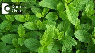 Is it true mint helps in hair reduction in women with PCOS  Dr Chetali Samant [upl. by Trik]