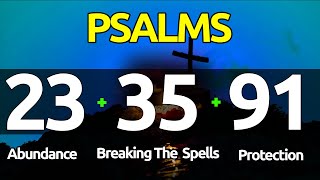 Psalms 233591 THE ESSENTIAL PSALMS FOR ABUNDANCE BREAKING SPELLS AND PROTECTION [upl. by Curnin]