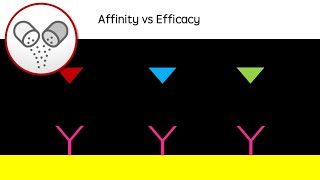 Affinity vs Efficacy  Drug action revision video agonists antagonists  GCSE A Level University [upl. by Ursuline]