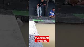 Peraturan yang menyiksa viralshort fishing mancing [upl. by Ecined289]