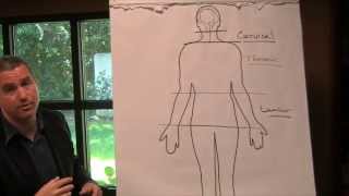 Levels of Spinal Cord Injury Explained by Spinal Cord Injury Lawyer Eric Ratinoff [upl. by Ramed679]