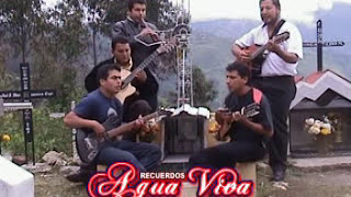 AGUA VIVA Cruel destino Huayno Abancay Apurimac [upl. by Aguayo683]