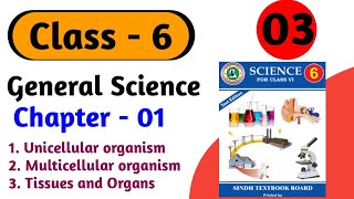 Unicellular and Multicellular organisms  Tissue And Organs class 6 science chapter 1 sindh board [upl. by Edaw273]