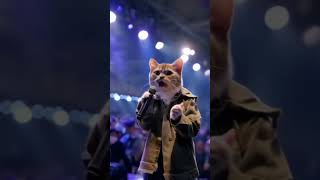 meaw meaw song 🐈‍⬛shorts viralvideo [upl. by Manno]