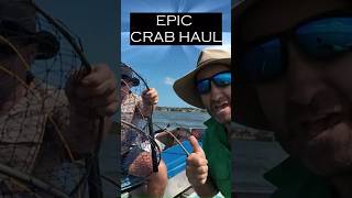 Epic Crab Catching Highlights shorts [upl. by Schwab]