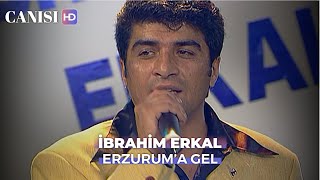 İbrahim Erkal  Erzuruma Gel Canısı Dizi Klibi [upl. by Loralee]