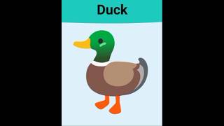 Duck 🦆cow cowvideos kidsvideos learnenglish 432 naturalworldnature MHamza432 [upl. by Hynes]