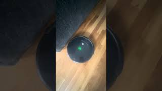 iRobot Roomba ReviewThe Gadget Every House Needs [upl. by Hedveh]