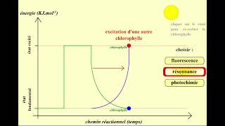 Chlorophylle fluorescence résonance et photochimie [upl. by Alekat]