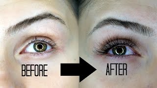 DIY Eyelash Extensions UNDER 10 [upl. by Domenic]