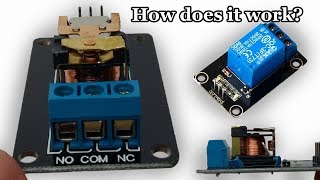 Inside of a SRD05VDCSLC And How a Relay Works [upl. by Marketa404]