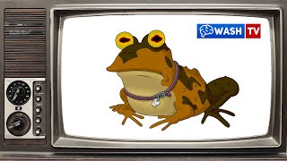 Oxygen1um  RUSSIAN HYPNOTOAD Propaganda Vomitstep [upl. by Deraj]