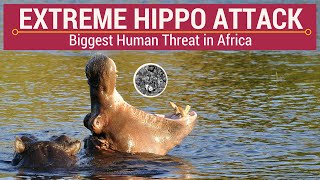 Extreme Hippo Attack Extreme Hippo Attack  Biggest Human Threat in Africa [upl. by Corwin]